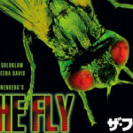 The Fly