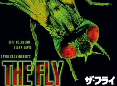 The Fly